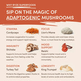 Mushroom Coffee (1 pack - 30 Servings)